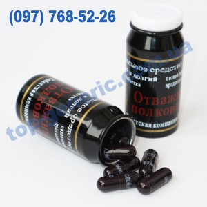 Отважный полководец