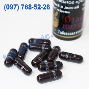 Отважный полководец