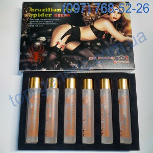 Brazilian Red Spider